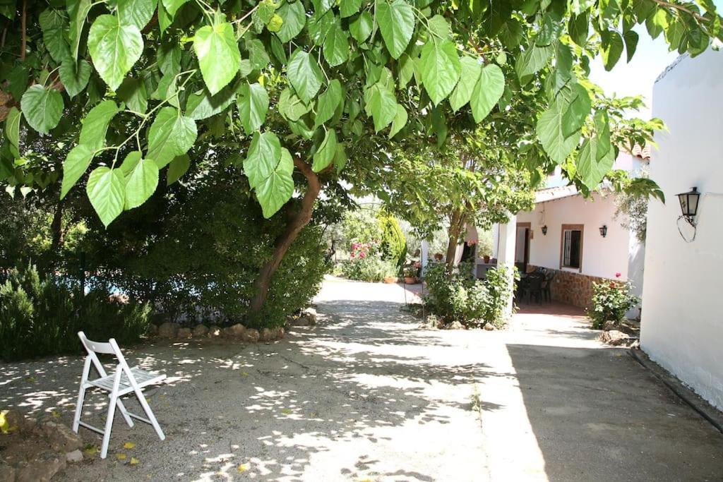 Cazorla-Alcon, Casa Hoya Don Gaspar Pozo Alcón Exteriér fotografie